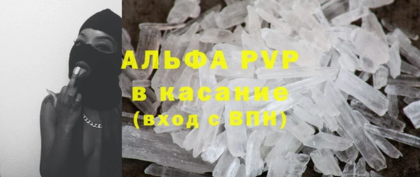 прущие грибы Баксан