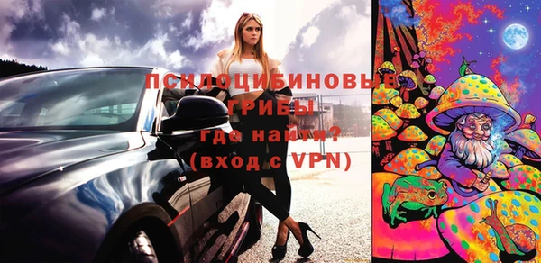прущие грибы Баксан