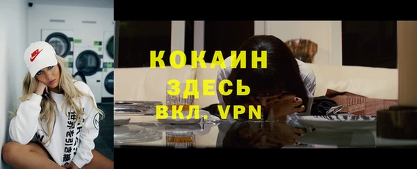 прущие грибы Баксан
