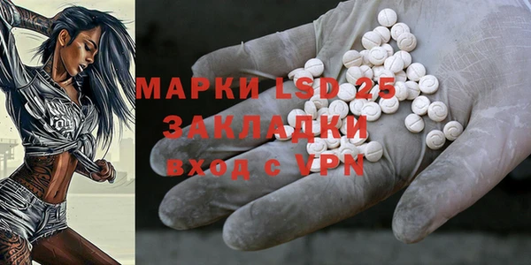 прущие грибы Баксан