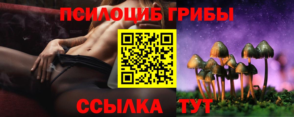 Псилоцибиновые грибы ЛСД Кунгур