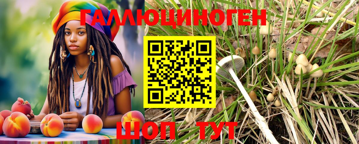 Галлюциногенные грибы Psilocybe  Вход с VPN  Кунгур  Псилоцибиновые грибы Cubensis 